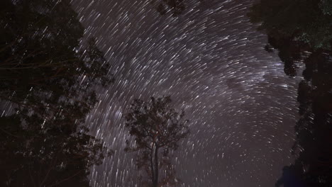 Australia-Beautiful-Stunning-Milky-Way-Souther-Cross-Night-Star-Trails-5-Timelapse-by-Taylor-Brant-Film