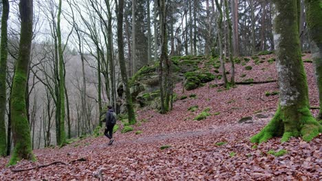 Hombre-Caminando-En-Un-Denso-Bosque-A-Fines-De-La-Temporada-De-Otoño-En-La-Ruta-De-Senderismo-Mullerthal-En-Luxemburgo-Con-Cámara-Al-Costado