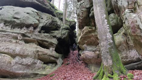 Man-standing-between-Huge-Rock-Formations-in-Mullerthal-Hiking-Trail-in-Luxembourg---Camera-on-front