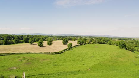 HD-Luftbild-Von-Irischen-Feenbäumen,-Die-In-Einem-Grasfeld-Wachsen,-Das-Für-Silage-Geschnitten-Wurde