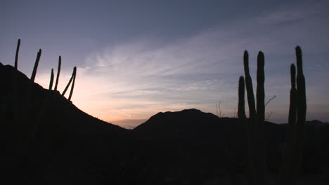 Timelapse-En-El-Desierto,-Con-Cactus-Y-Montañas