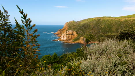 Scenic-view-of-West-Head-at-entrance-to-Knysna-Lagoon-in-Garden-Route---long-shot-view-from-behind-native-coastal-vegetation