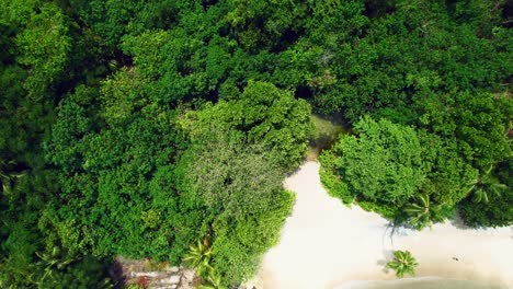 Mahe-Seychelles-Major-Beach-Enthüllen-Drohnenaufnahme,-Kunden-Am-Strand