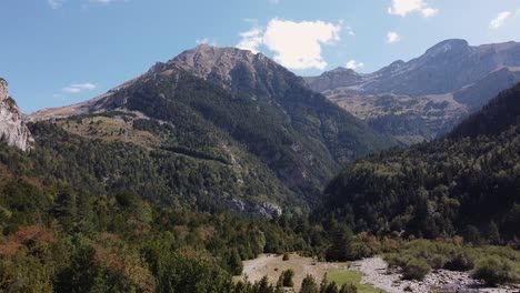 Flying-over-a-valley-of-pine-trees-in-the-Pyrenees