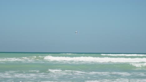 Propeller-plane-flying-near-the-beach