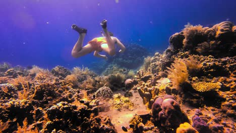 Junger-Abenteuerlustiger-Mann,-Der-Beim-Schnorcheln-Das-Tropische-Korallenriff-überquert