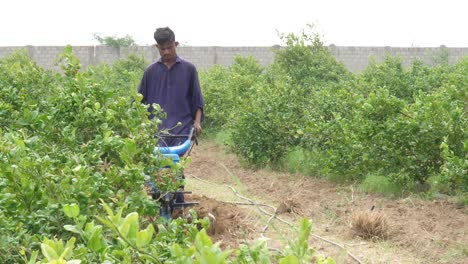 Agricultor-Paquistaní-Que-Utiliza-Cultivador-De-Motor-De-Timón-Sobre-Suelo-En-Sindh,-Pakistán