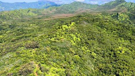 Green-hills-in-Kauai,-very-lush