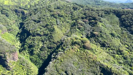 Hügel-In-Kauai,-Sehr-Grün