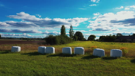 Landscape-with-packed-hay,-silage-rolls-for-animal-food-on-sunny-summer-day
