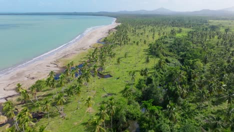 Green-Meadow,-Palm-Trees,-And-River-Near-The-Emerald-Bay-Beach-During-Summer-In-Miches,-Dominican-Republic