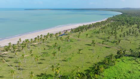 Aerial-panorama-shot-of-beautiful-paradise-in-sunlight-showing-clear-ocean,-golden-beach-and-palm-trees-at-Bahia-Esmeralda-in-Miches,-Dominican-Republic