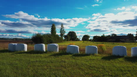 Row-of-silage-bales-on-green-grass-on-a-hot-summer-day-with-blue-sky-and-cumulus-clouds