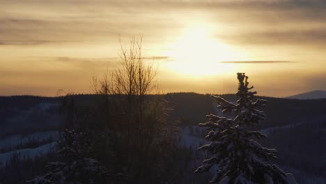 Statische-Luftaufnahme-Des-Goldenen-Sonnenuntergangs-Während-Des-Verschneiten-Wintertages-In-Der-Waldlandschaft-Von-Beitostolen,-Norwegen