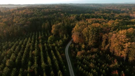 Aerial-view-over-a-beautiful-forest-in-autumn,-Dordogne---France