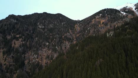 Blick-Von-Den-österreichischen-Bergen-Mit-Bäumen