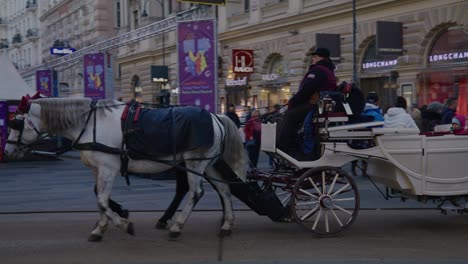 Tourist-enjoy-a-ride-on-a-horse-carriage-in-the-city-center-of-Vienna-on-New-Year's-day-2023