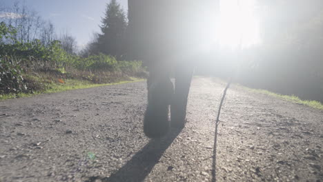 Walking-silhouette-on-country-road-in-sunny-day