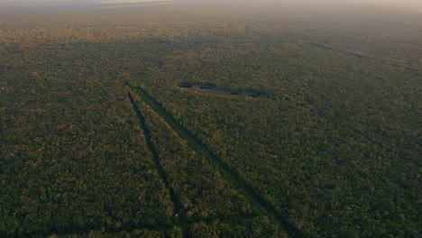 High-up-aerial-view-of-Mexico's-dense-jungle-in-the-morning-light