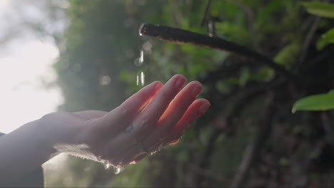 Spring-water-dripping-in-hand