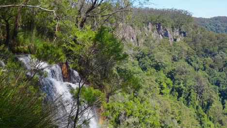 Springbrook-National-Park-Wasserstrom-Zu-Wasserfällen,-Goldküste,-Queensland,-Australien