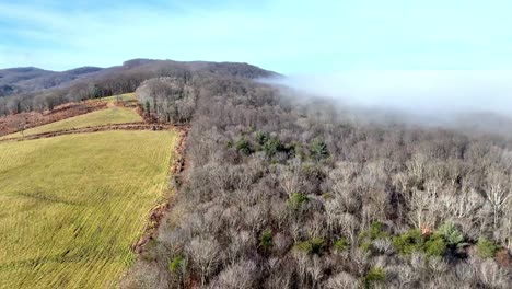 Buschige-Berge-Im-Nebel-In-Wilkes-County-NC,-North-Carolina