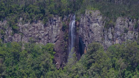 Springbrook-national-park,Twin-fall-circuit-in-the-middle-of-forest