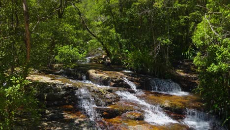 Springbrook-National-Park-Water-stream-to-waterfalls,-Gold-Coast,-Queensland,-Australia