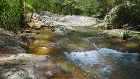 Springbrook-National-Park-Wasserstrom-Zu-Wasserfällen,-Goldküste,-Queensland,-Australien
