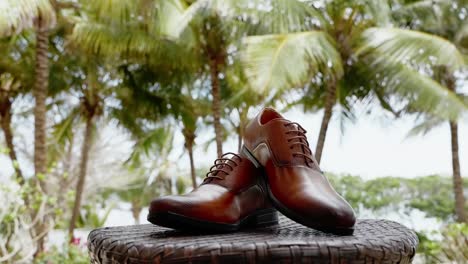 Classic-Shoes-Diplayed-On-Brown-Table-In-Green-Palm-Area