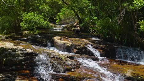 Springbrook-National-Park-Water-stream-to-waterfalls,-Gold-Coast,-Queensland,-Australia