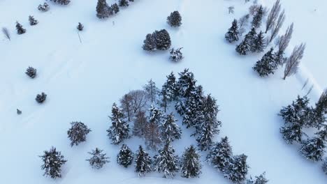 Aerial-view-of-an-open-forest-space-on-Whidbey-Island-covered-in-snow