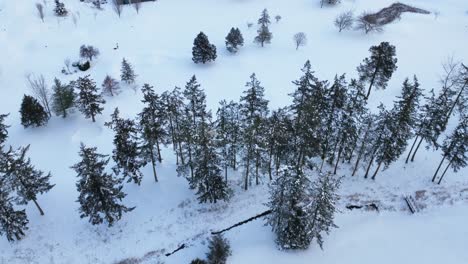 Aerial-view-of-a-well-maintained-golf-course-covered-in-a-fresh-blanket-of-snow-on-Whidbey-Island