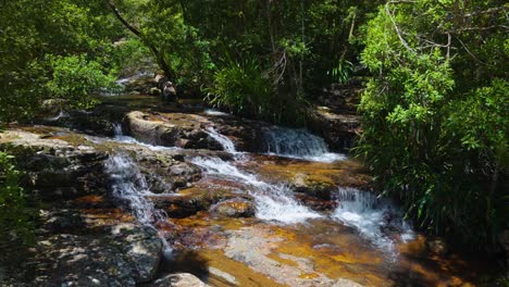 Corriente-De-Agua-Del-Parque-Nacional-Springbrook-A-Cascadas,-Costa-Dorada,-Queensland,-Australia