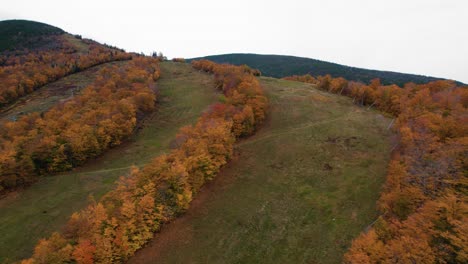 Aerial-of-a-mountain-with-fall-foliage-surrounded-by-clouds