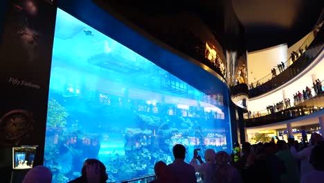 Leute,-Die-Das-Aquarium-Des-Dubai-einkaufszentrums-Beobachten