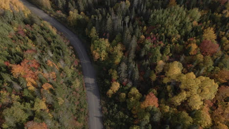 Fall-colours-by-drone-looking-down