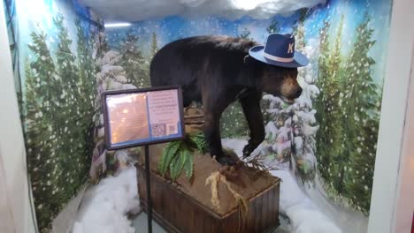 Cocaine-Bear-in-the-Kentucky-for-Kentucky-Fun-Mall