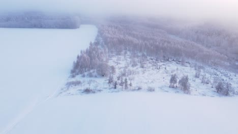 Eintauchen-In-Die-Wolken-über-Frostigem,-Schneebedecktem-Wald