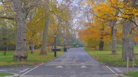 Hyde-Park-Con-Carretera-Vacía-Y-árboles-Con-Colores-Otoñales-En-Londres,-Inglaterra,-Reino-Unido