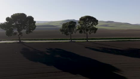 Italian-countryside-road-with-treeline-and-shadows-right-to-left