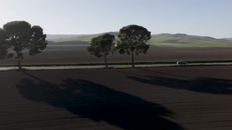 Italian-Countryside-with-Tree-and-Car-driving-left-to-right-sunset