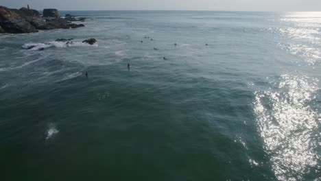 Aerial-shot-of-a-group-of-surfers-waiting-on-a-wave-with-a-large-bird-diving-into-the-water