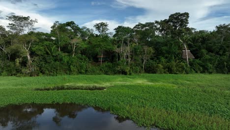 Vista-Aérea-De-Drones-De-La-Cabaña-De-La-Selva-En-La-Amazonia,-Rodeada-De-árboles,-Ríos,-Clima-Tropical,-Animales-Salvajes,-Lluvia-En-El-Bosque