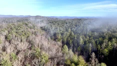 aerial-push-in-over-treetops-in-wilkes-county-nc,-north-carolina