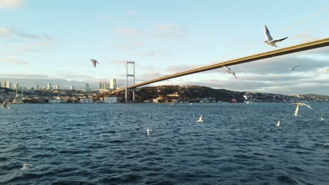 Möwenschwarm-Vor-Bosporusbrücke-Mit-Skyline-Im-Hintergrund