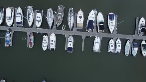Top-down-aerial-drone-view-above-luxury-moored-private-marina-sailing-ships-and-yacht-boats-moving-forwards