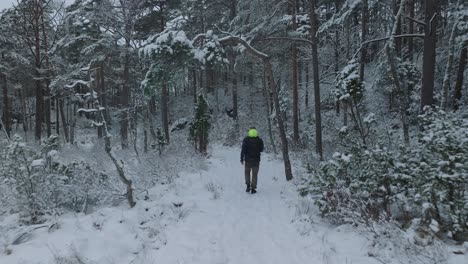 Dronefootage-of-man-walking-in-winter-forest-in-Norway