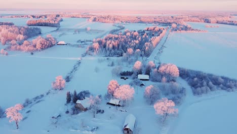 Frostige-Kalte-Winterlandschaft-Im-Sonnenaufgang-Licht-Luftbild
