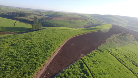 Drone-Disparó-Sobre-Una-Plantación-De-Caña-De-Azúcar-En-Sudáfrica-4k